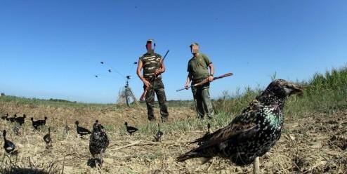 In Toscana si torna a cacciare (in anticipo): ecco limitazioni e deroghe per le doppiette. Wwf: "Una vergogna"