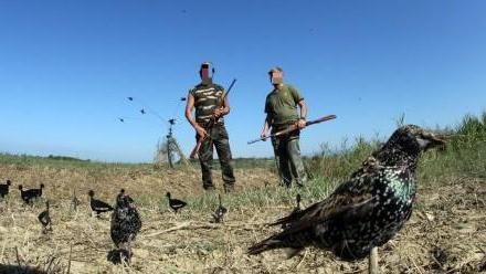In Toscana si torna a cacciare (in anticipo): ecco limitazioni e deroghe per le doppiette. Wwf: "Una vergogna"