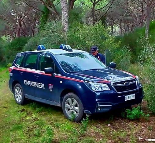 I carabinieri forestali impegnati in un'operazione di controllo