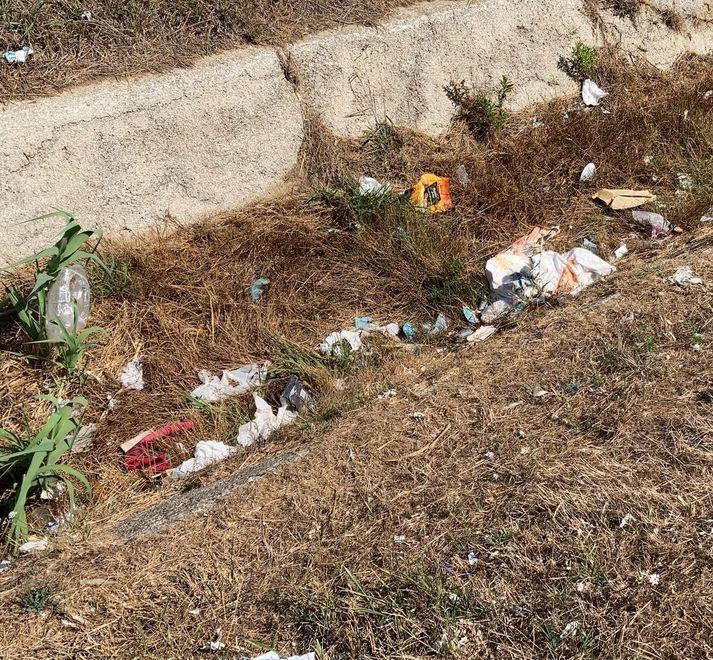 Stamani volontari ai Tre Ponti per ripulire il fossato 