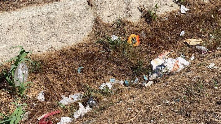 Stamani volontari ai Tre Ponti per ripulire il fossato