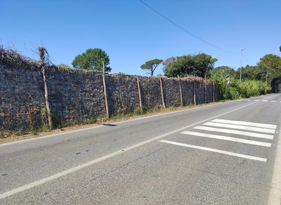 Rumore, pericoli e alta velocità: la rivolta di via dei Lecci 