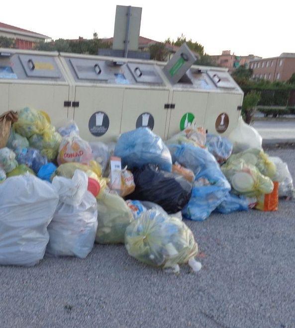Gentili: «Bisogna educare gli elbani al porta a porta» 