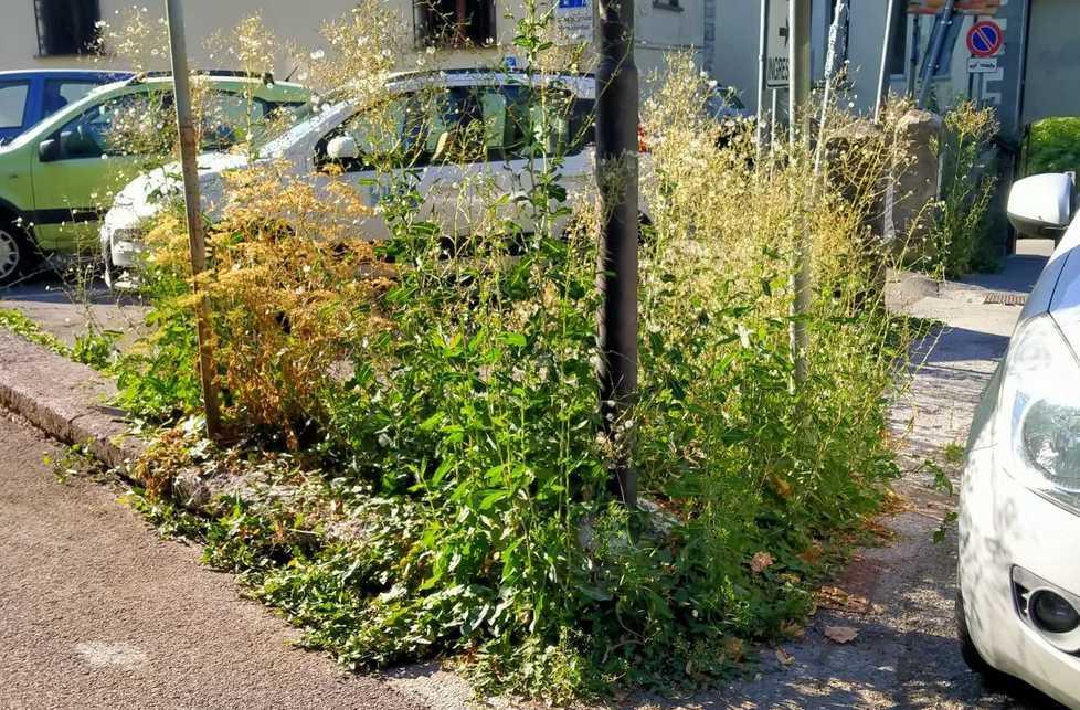 Incuria davanti all’ospedale