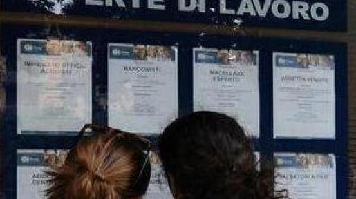 Oltre la metà delle micro imprese pronta ad assumere nei prossimi mesi