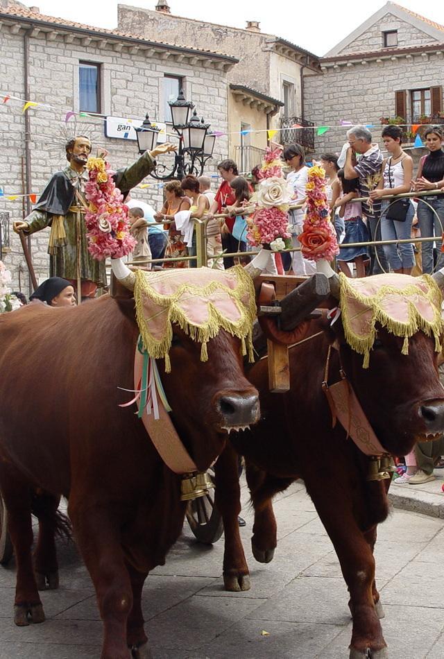 Da domani le celebrazioni per Sant’Isidoro