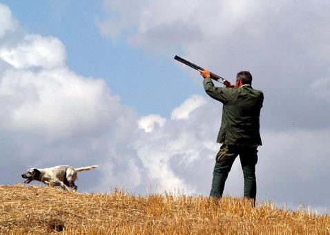 Caccia: fuoco incrociato sulla Regione 