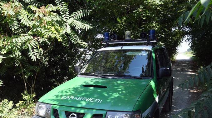 Ligonchio, pastore preso a bastonate dal collega