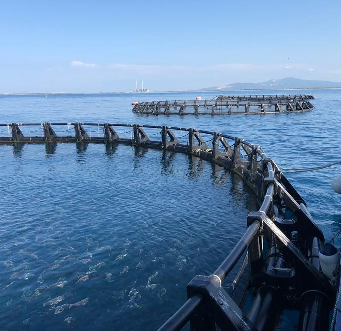 «Regole uniformi per la sicurezza dei sub» 