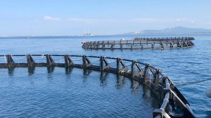 «Regole uniformi per la sicurezza dei sub»