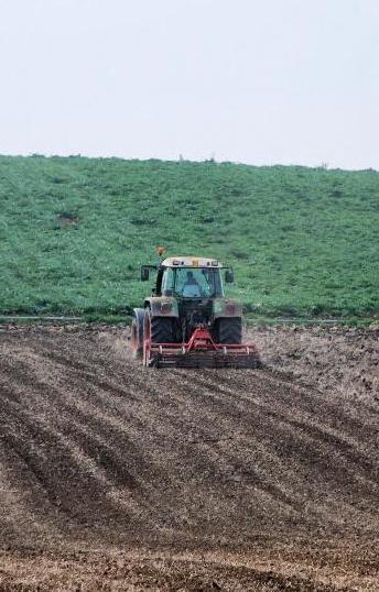 Uras, via al piano di riordino fondiario 