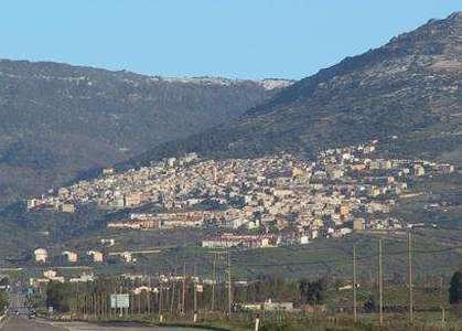 Focolaio di blue tongue a Bolotana 