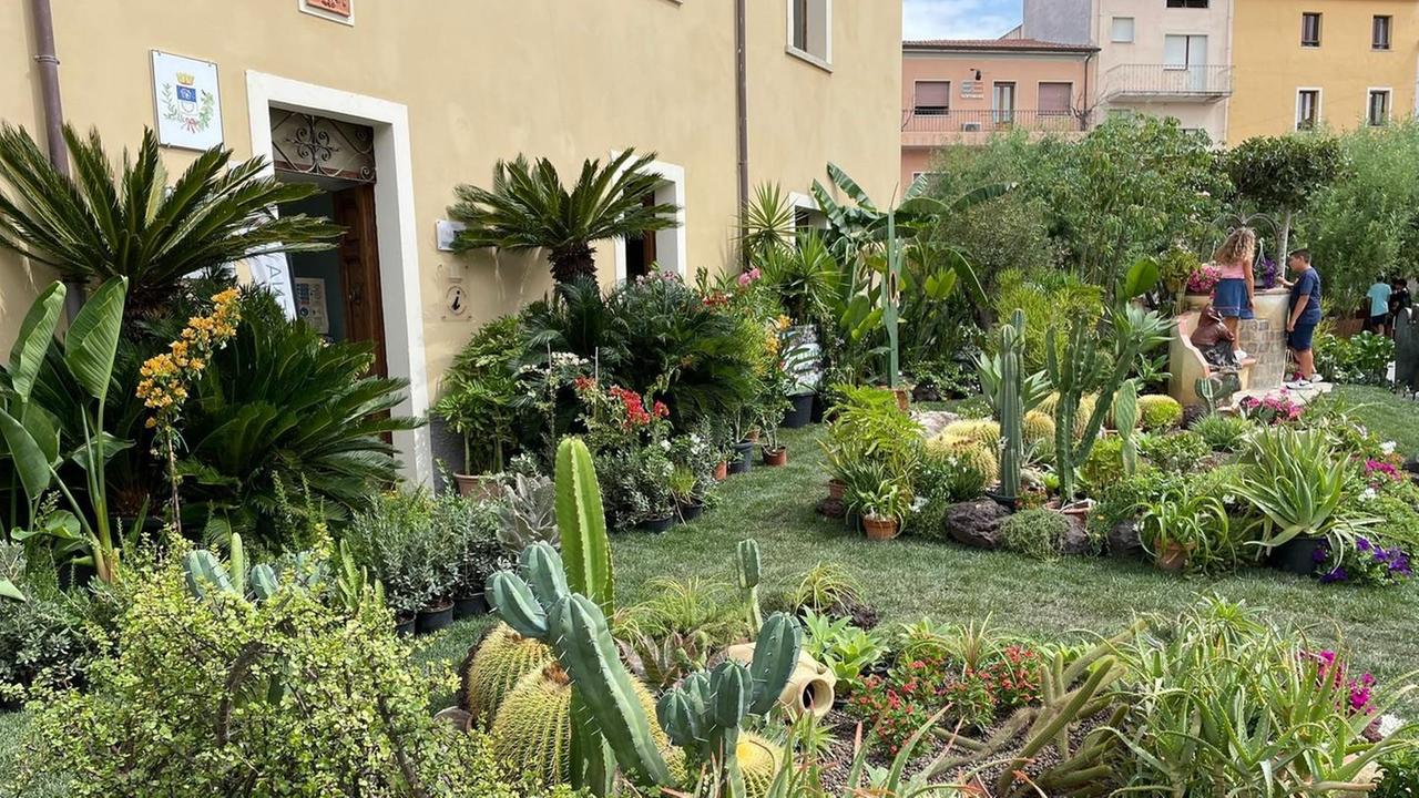 Arzachena: il centro vestito di verde strega turisti e residenti