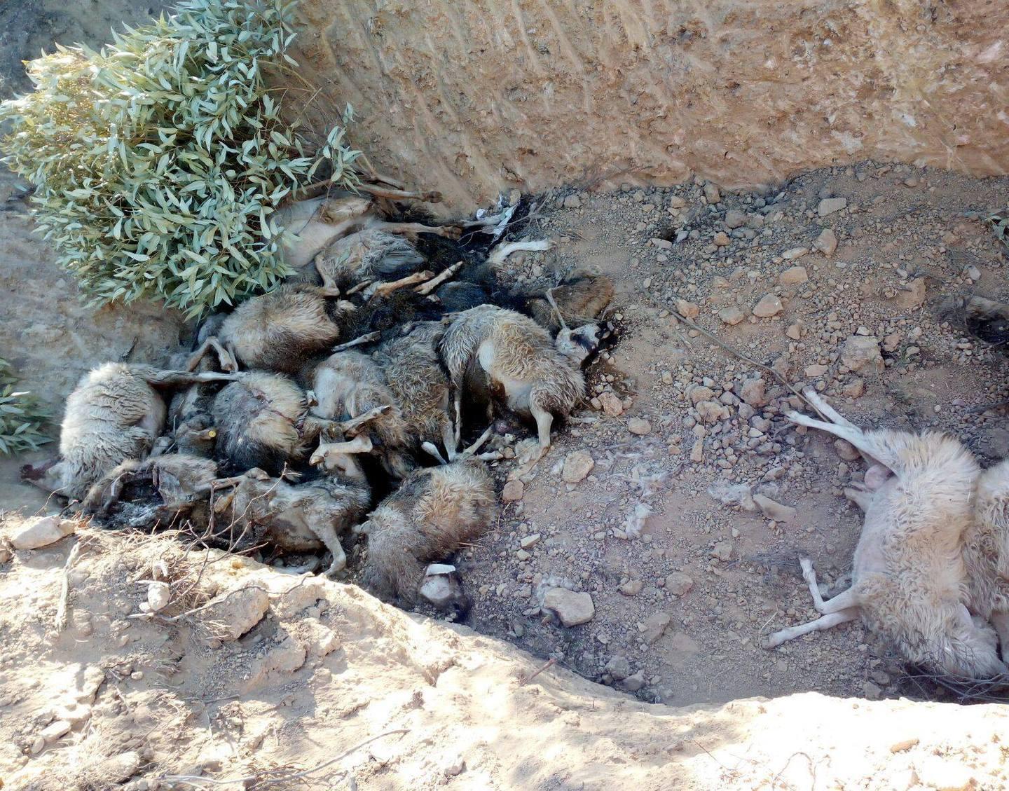 Lingua blu, un esposto in Procura 