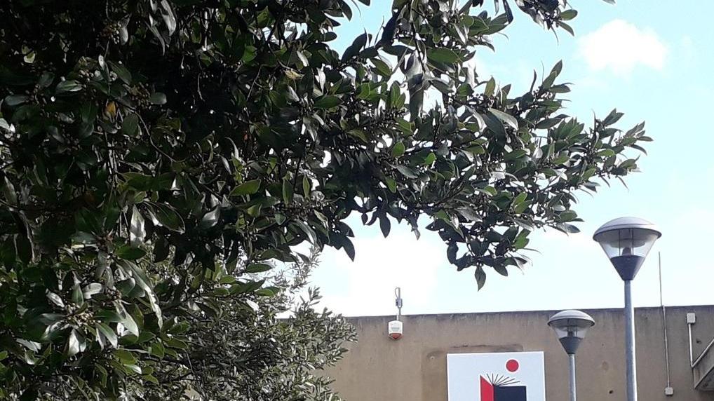 Nuoro, Soddu alla Regione: ripristinate i fondi per la biblioteca Satta