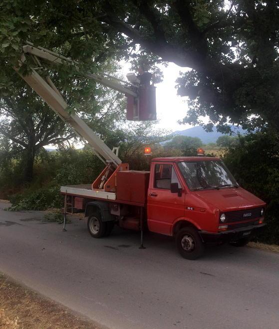 Pesante ramo di quercia precipita sulla strada