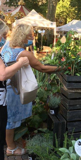Modena si riempie di fiori Consigli e segreti per l’autunno