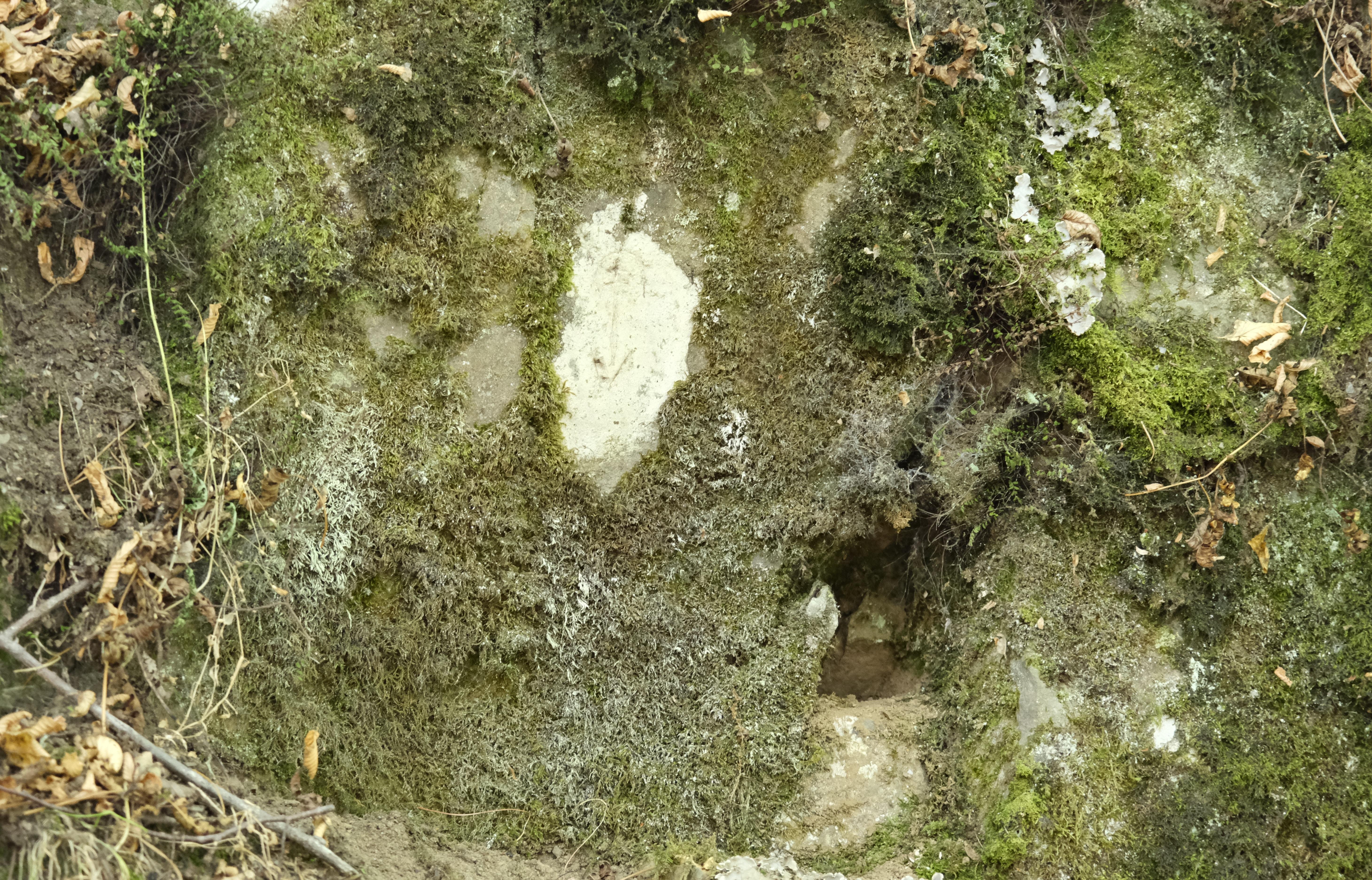 Il graffito scoperto a Montieri, non distante dalla canonica di San Niccolò