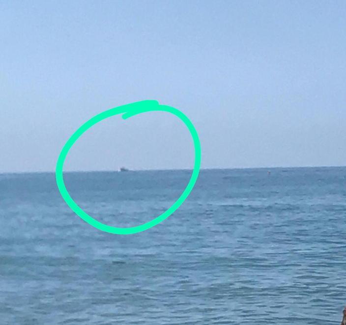 «C’è una pinna all’orizzonte» Dalla battigia si vede un delfino 