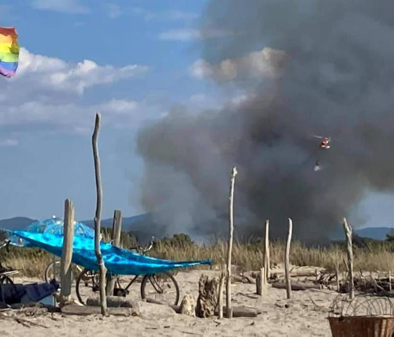 Rogo a un passo dal mare in pineta di Levante 