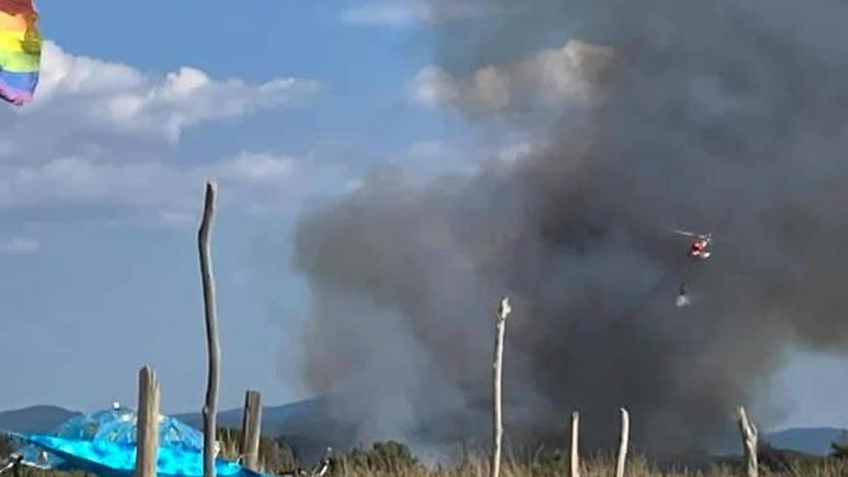 Rogo a un passo dal mare in pineta di Levante