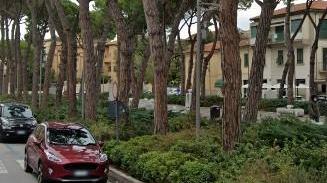 Lavori per il nuovo asfalto in piazza Garibaldi e nelle zone limitrofe