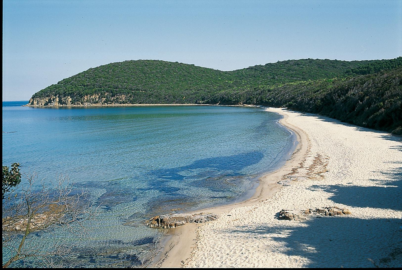 Cala Violina a numero chiuso, estate da tutto esaurito: i biglietti staccati e come migliorare il servizio