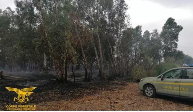Appiccò il fuoco a un boschetto di eucalipti: per la seconda volta evade dai domiciliari a Serramanna