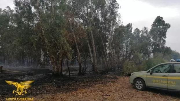 Appiccò il fuoco a un boschetto di eucalipti: per la seconda volta evade dai domiciliari a Serramanna
