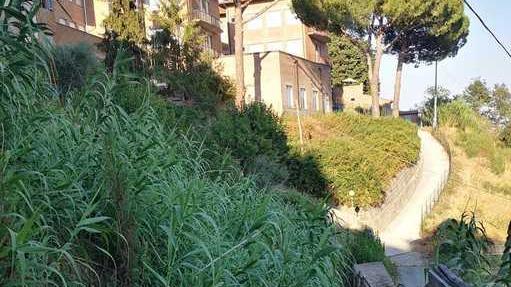 Appello ai cittadini per pulire e riqualificare un’area verde
