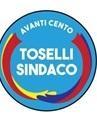 I colori del Comune nel simbolo di Toselli