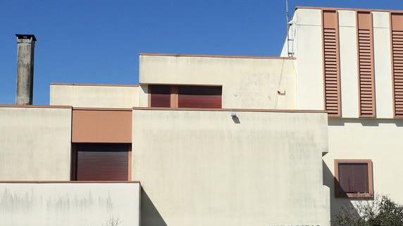 Stemma e gonfalone In corsa 22 proposte per i simboli del futuro