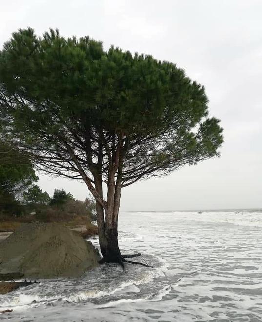 L’erosione cambia la costa «Piano spiaggia da rivedere» 