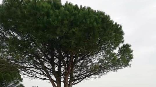 L’erosione cambia la costa «Piano spiaggia da rivedere»