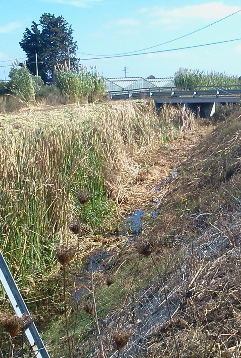 Canali di scolo, via alla manutenzione nell’agro