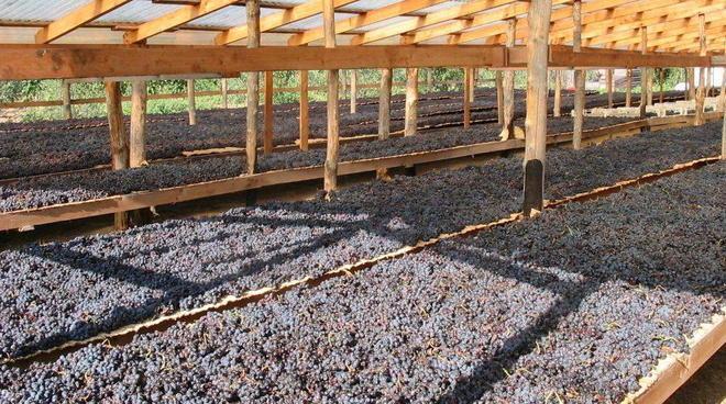 Cantine aperte e visite guidate C’è “ElbAleatico” in passerella 
