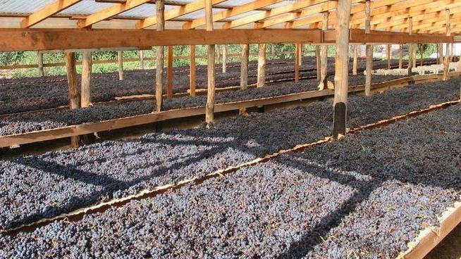 Cantine aperte e visite guidate C’è “ElbAleatico” in passerella