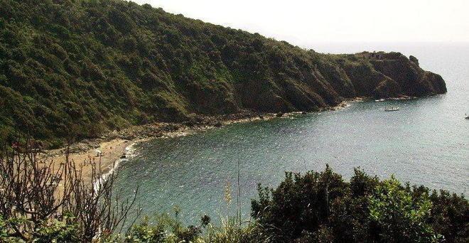 Passeggiata nel verde a Punta Falcone