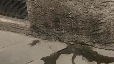Rifiuti, urina e degrado nella piccola via Streghi