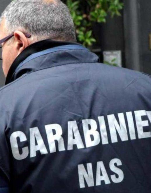 Bar sospeso dal Nas C’era anche la lettiera per i bisogni dei gatti