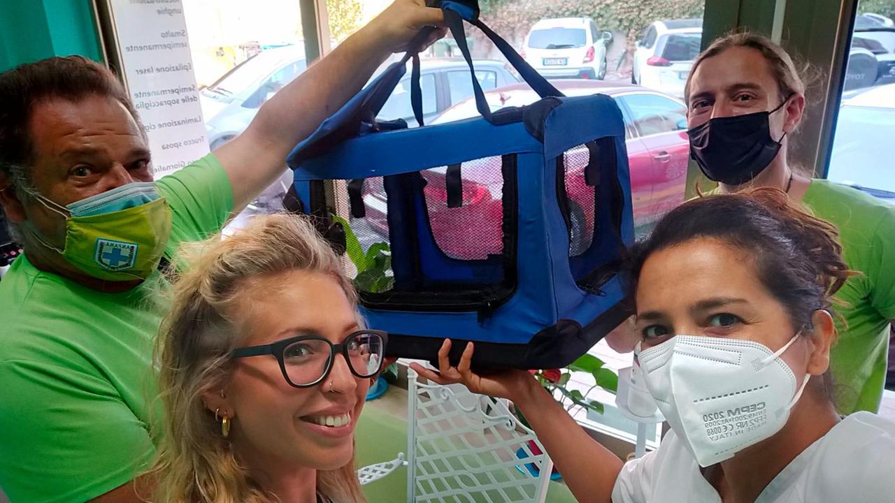 Il salvataggio dell'occhiocotto da parte dei volontari di Anpana nel negozio di estetica