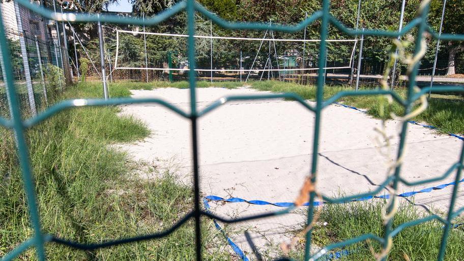 Il campo è una giungla