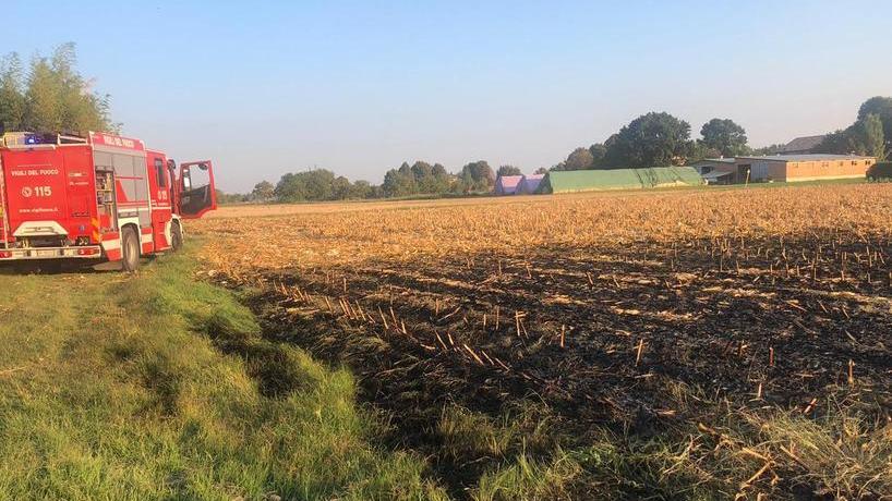 Brucia un campo Vigili del fuoco al lavoro a Fontana