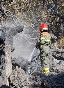 Fuoco nelle campagne di Luogosanto e Luras