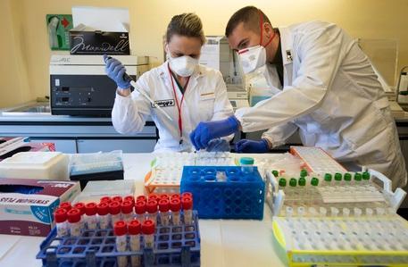 Covid in Sardegna, 114 contagi e 2 decessi