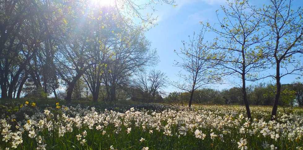 Lettura e natura immersi nell’oasi del Lago di Sibolla 