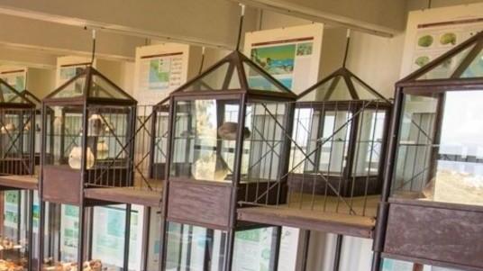 Audioguida e tecnologia Il museo cambia passo