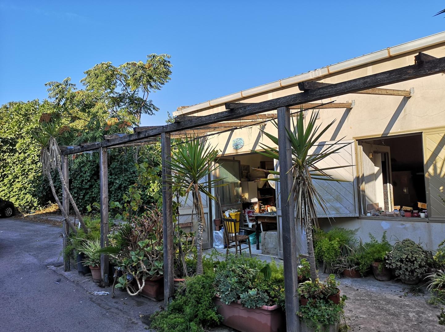 Il laboratorio di ceramica tra erbacce e topi 