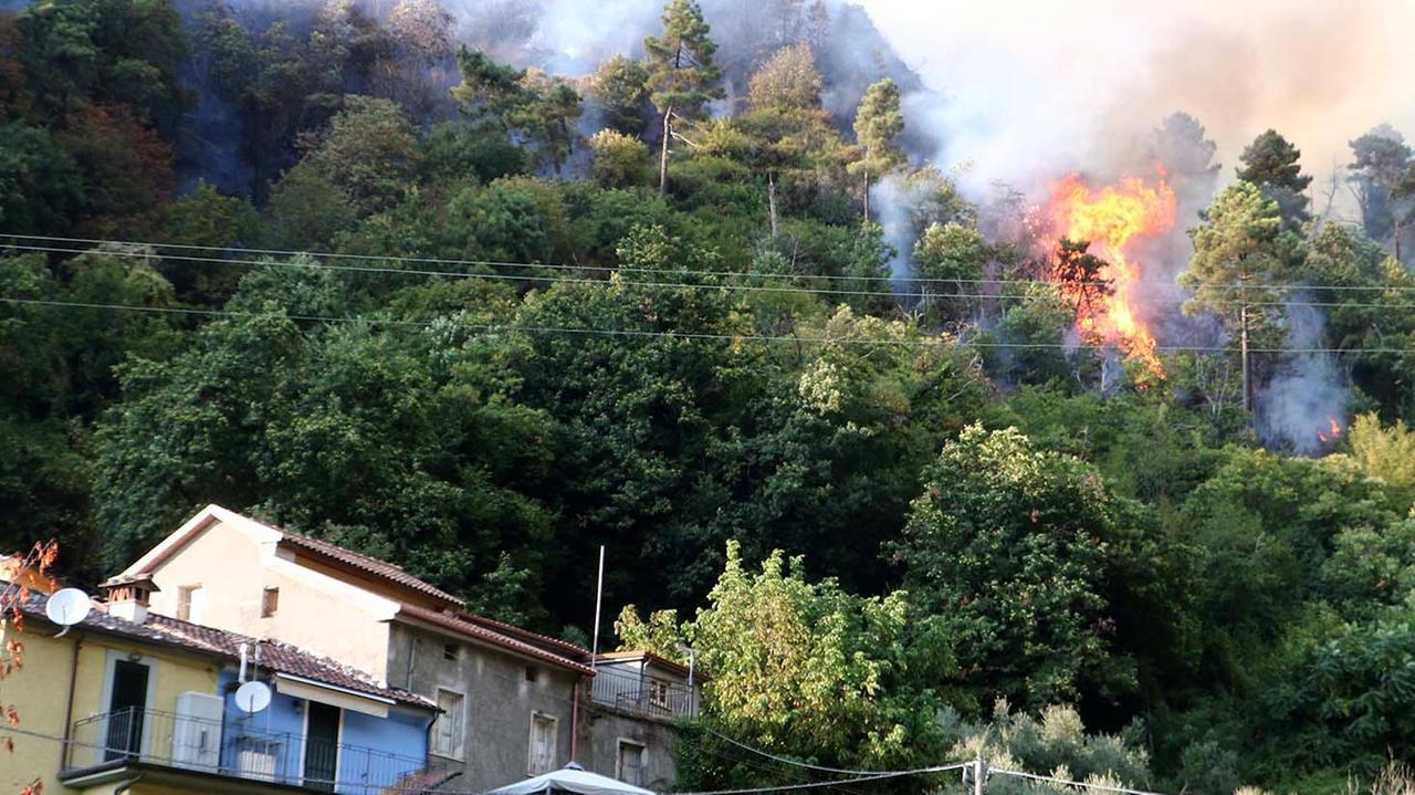 Piromani scatenati nei boschi: roghi da Montignoso a Carrara