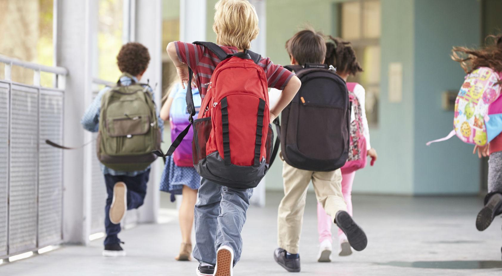 Sospiro di sollievo per le elementari a Ro. E un nuovo servizio 